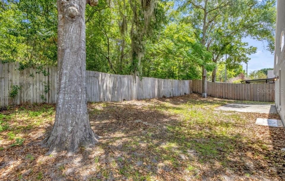608 BRIDGE CREEK BLVD, OCOEE, FL, 34761