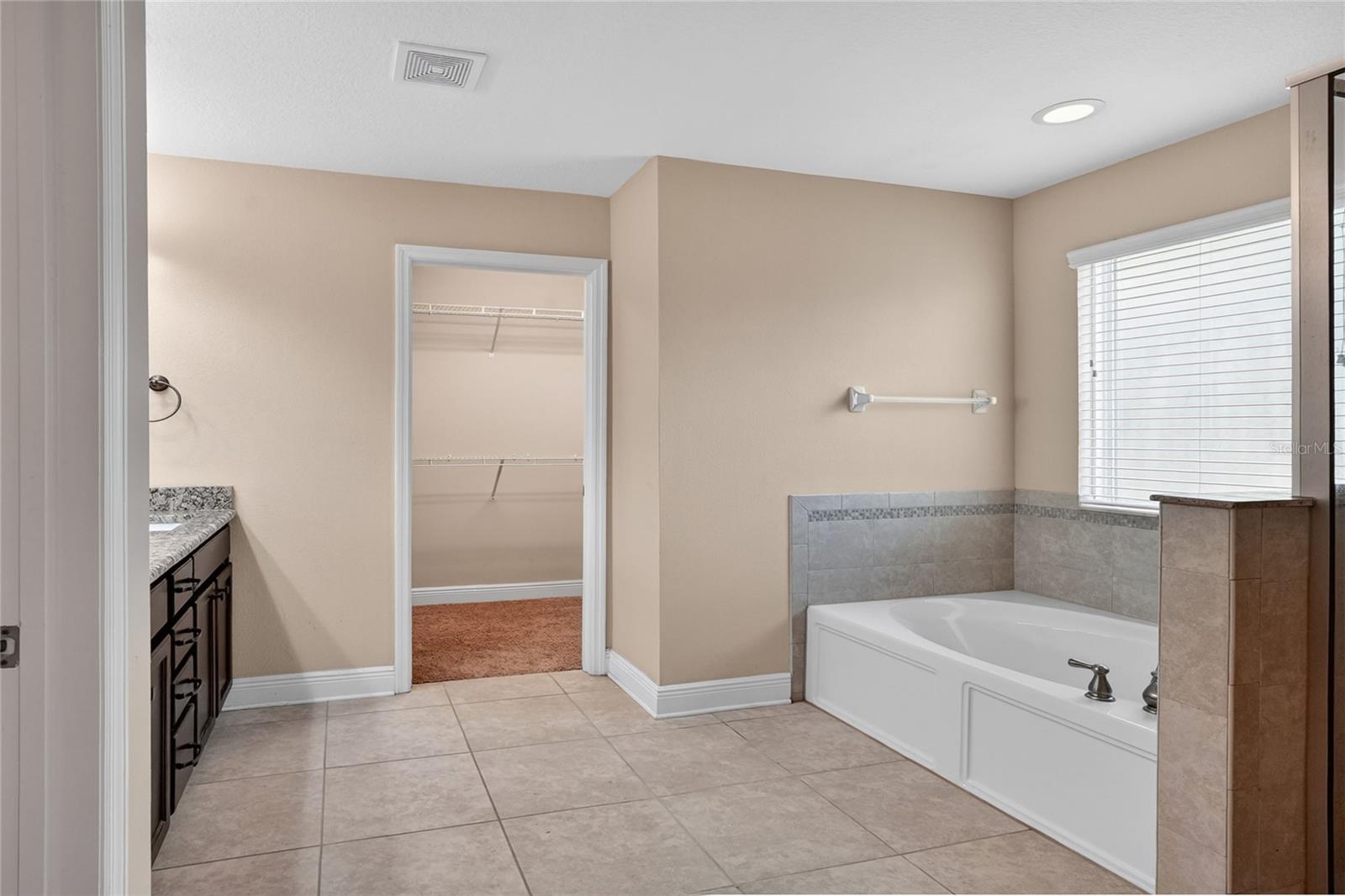 16302 BAYBERRY VIEW DR, LITHIA, FL, 33547