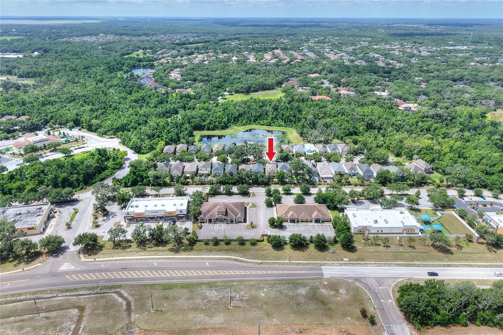 16302 BAYBERRY VIEW DR, LITHIA, FL, 33547