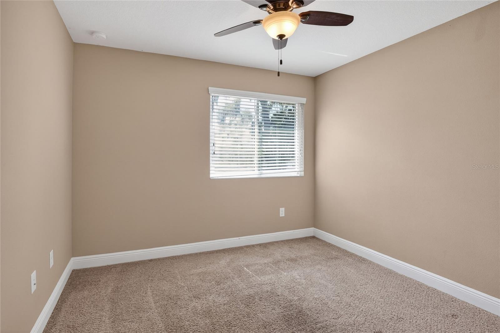 16302 BAYBERRY VIEW DR, LITHIA, FL, 33547