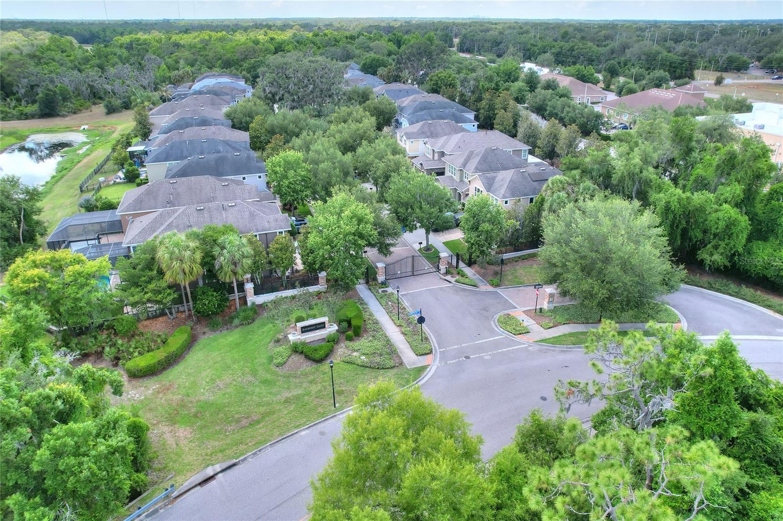 16302 BAYBERRY VIEW DR, LITHIA, FL, 33547