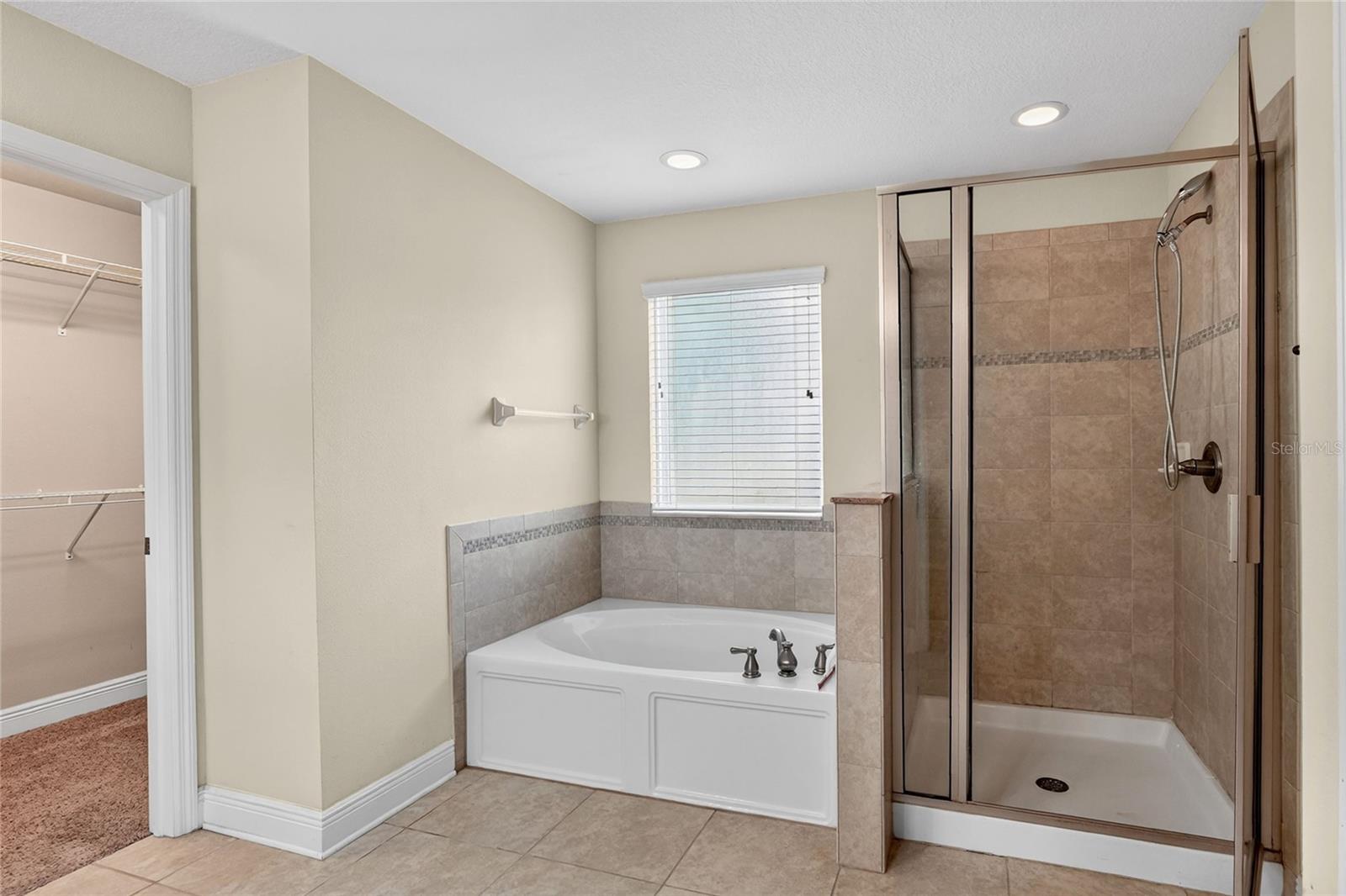 16302 BAYBERRY VIEW DR, LITHIA, FL, 33547