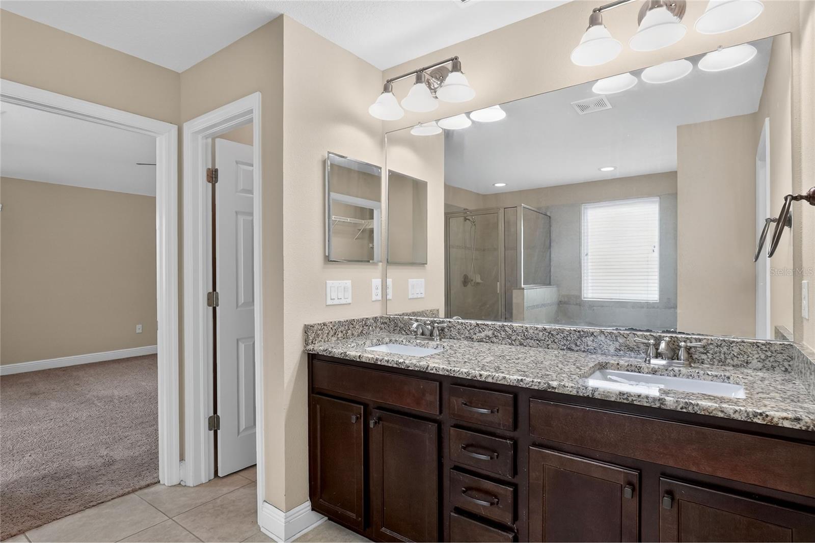 16302 BAYBERRY VIEW DR, LITHIA, FL, 33547