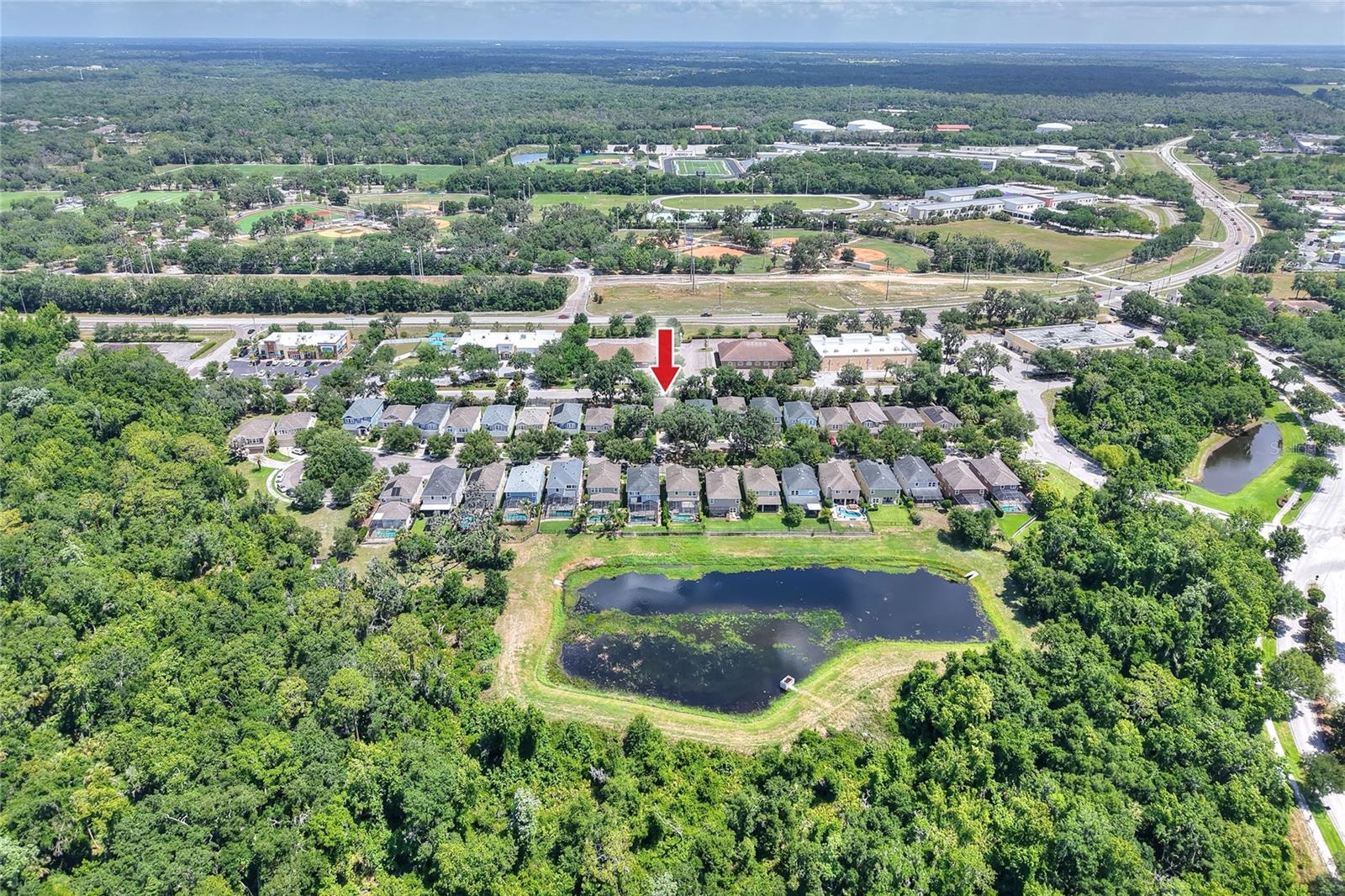 16302 BAYBERRY VIEW DR, LITHIA, FL, 33547