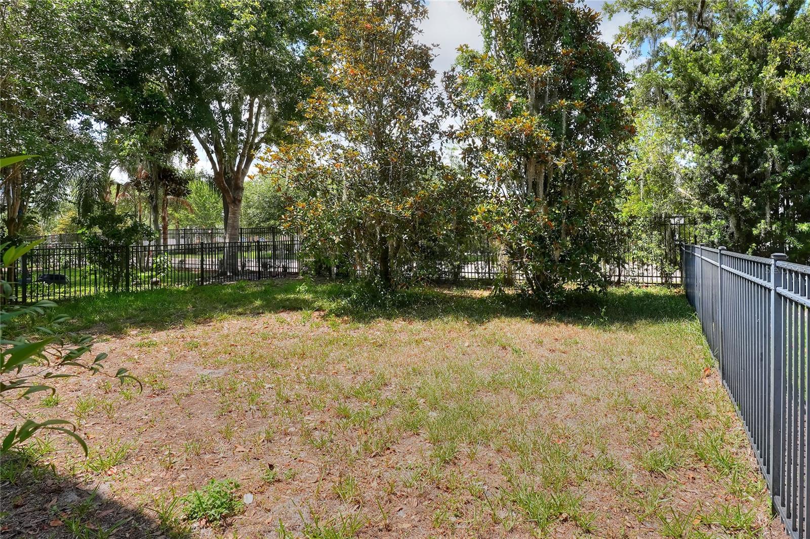 16302 BAYBERRY VIEW DR, LITHIA, FL, 33547