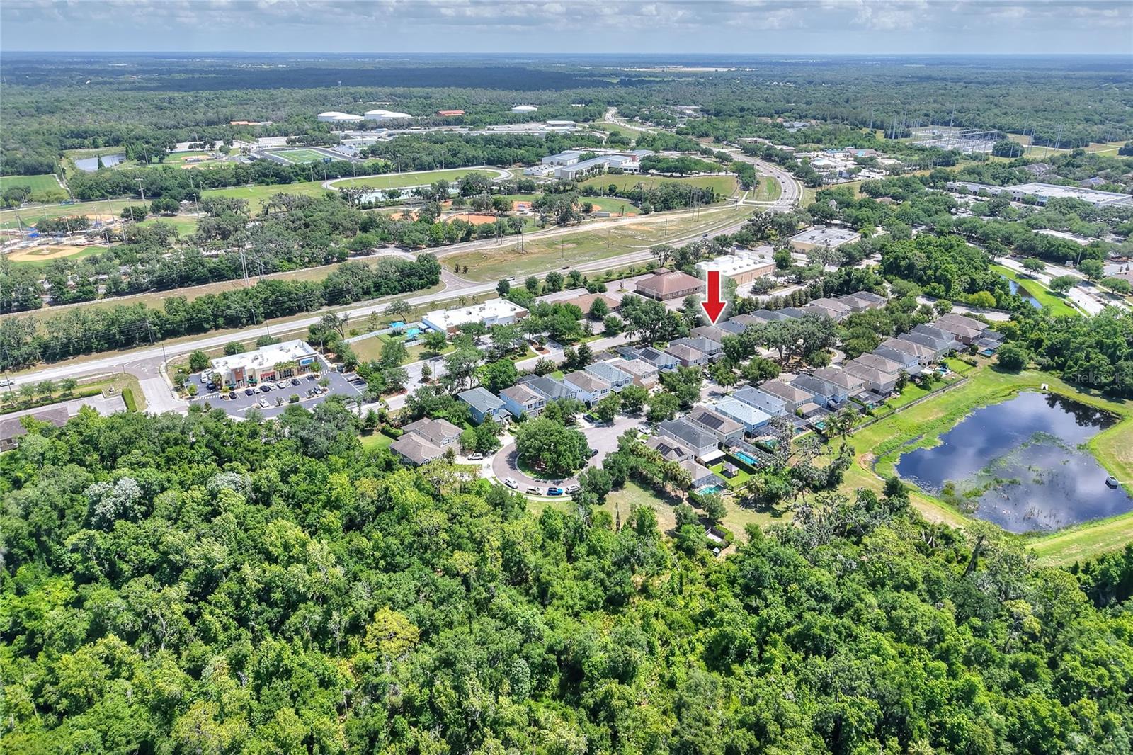 16302 BAYBERRY VIEW DR, LITHIA, FL, 33547
