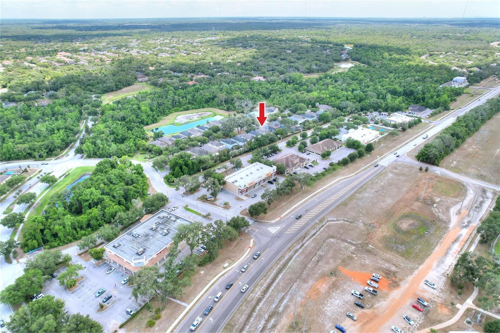 16302 BAYBERRY VIEW DR, LITHIA, FL, 33547