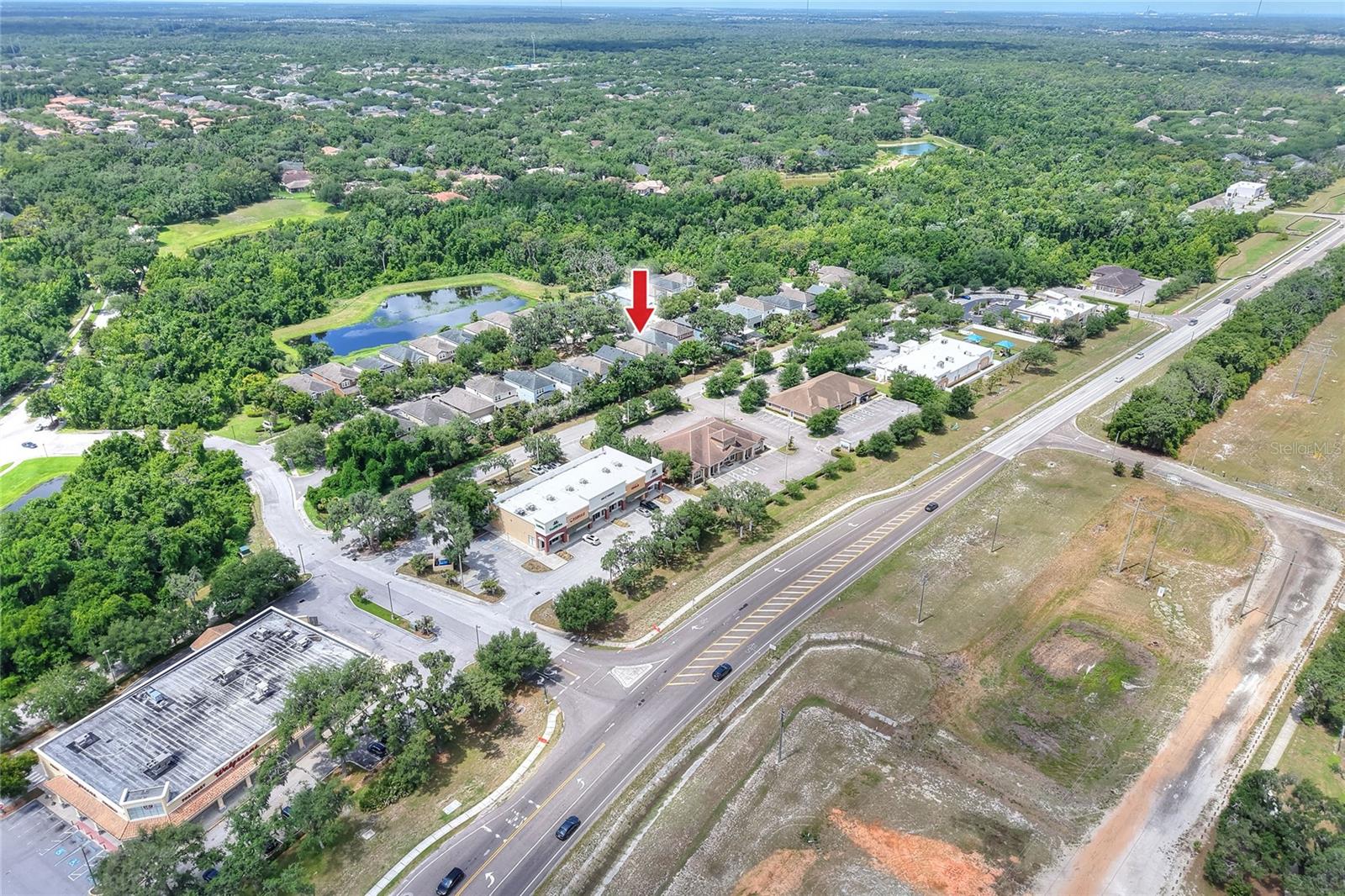 16302 BAYBERRY VIEW DR, LITHIA, FL, 33547