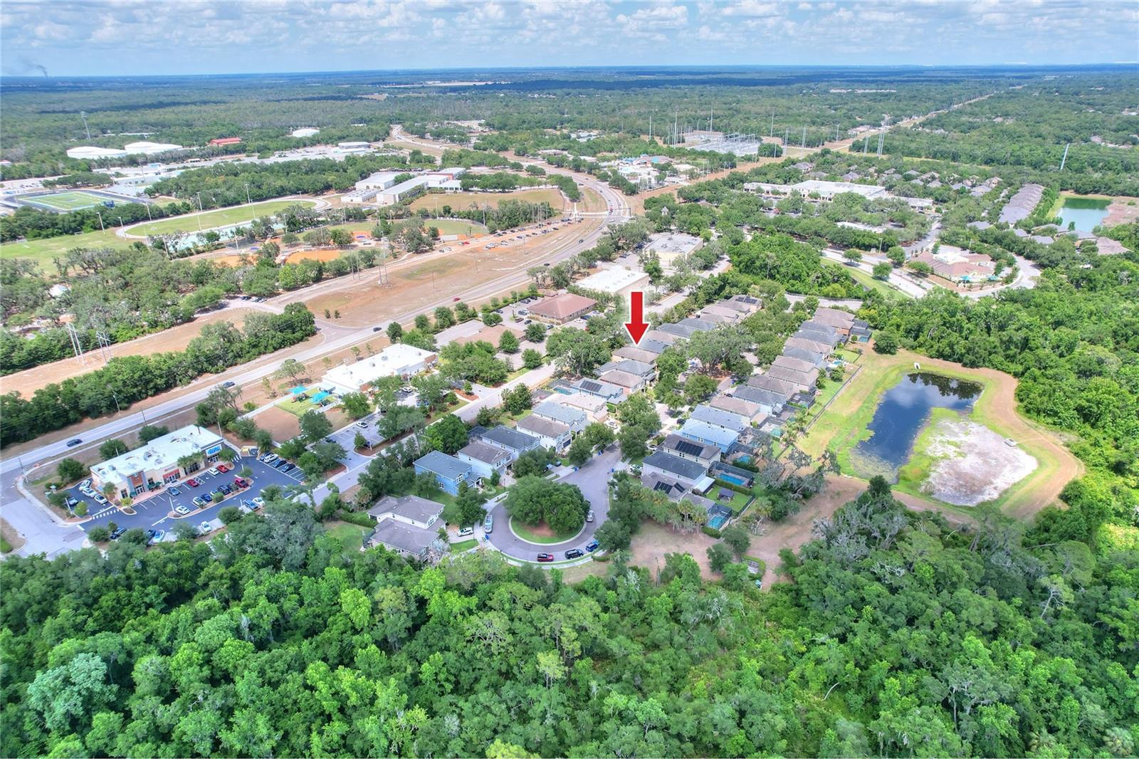 16302 BAYBERRY VIEW DR, LITHIA, FL, 33547