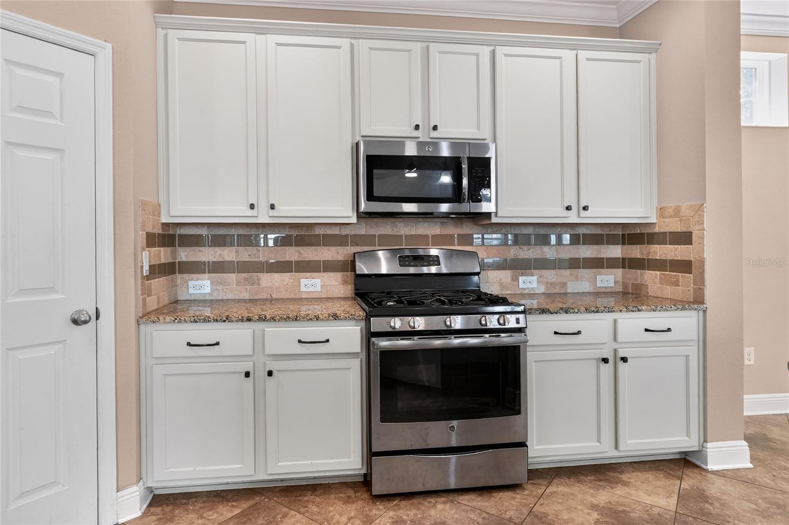 16302 BAYBERRY VIEW DR, LITHIA, FL, 33547