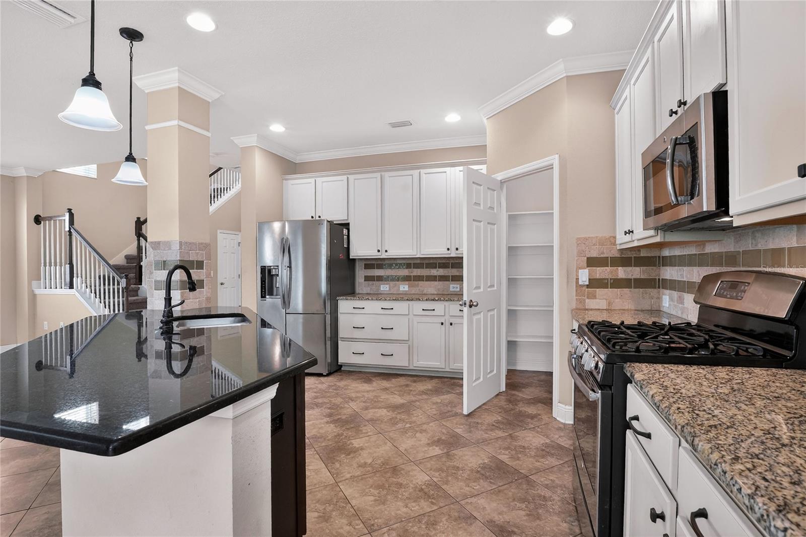 16302 BAYBERRY VIEW DR, LITHIA, FL, 33547