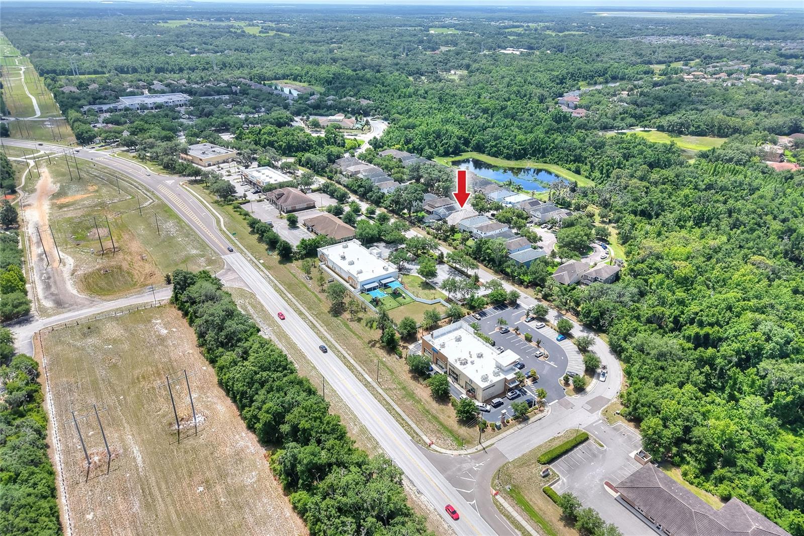 16302 BAYBERRY VIEW DR, LITHIA, FL, 33547
