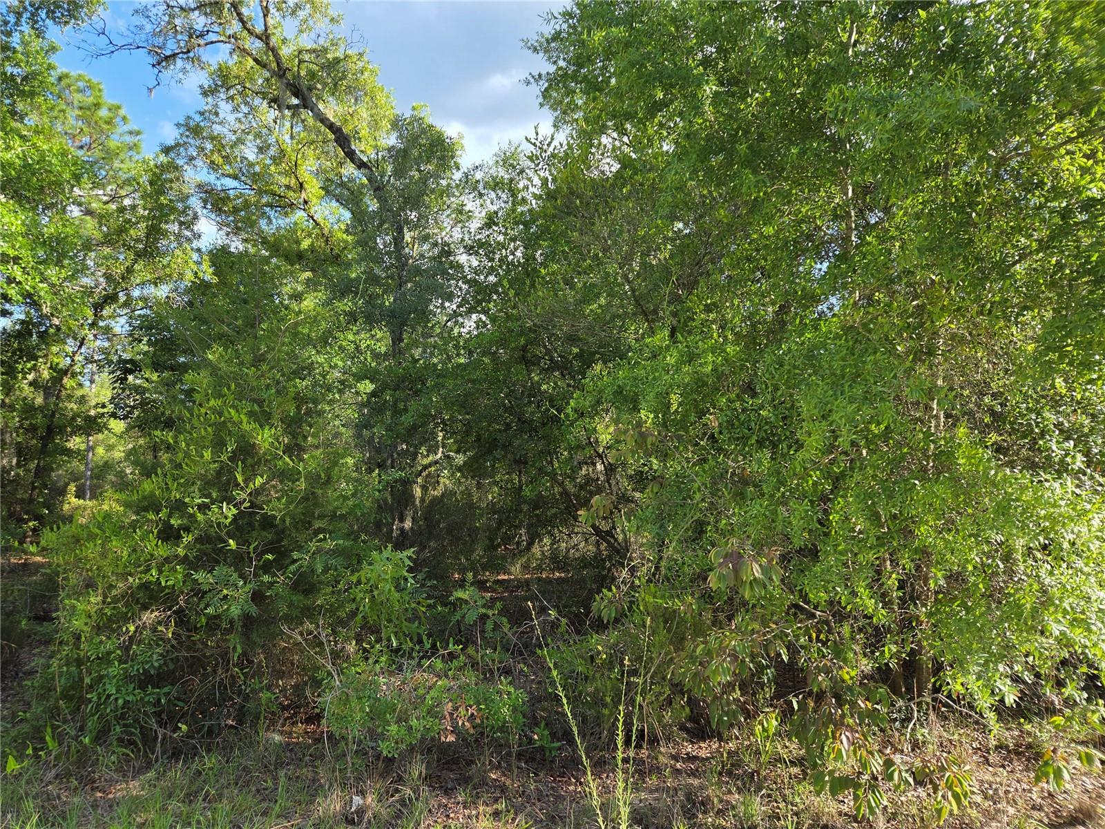 9070 NE 76TH ST, BRONSON, FL, 32621