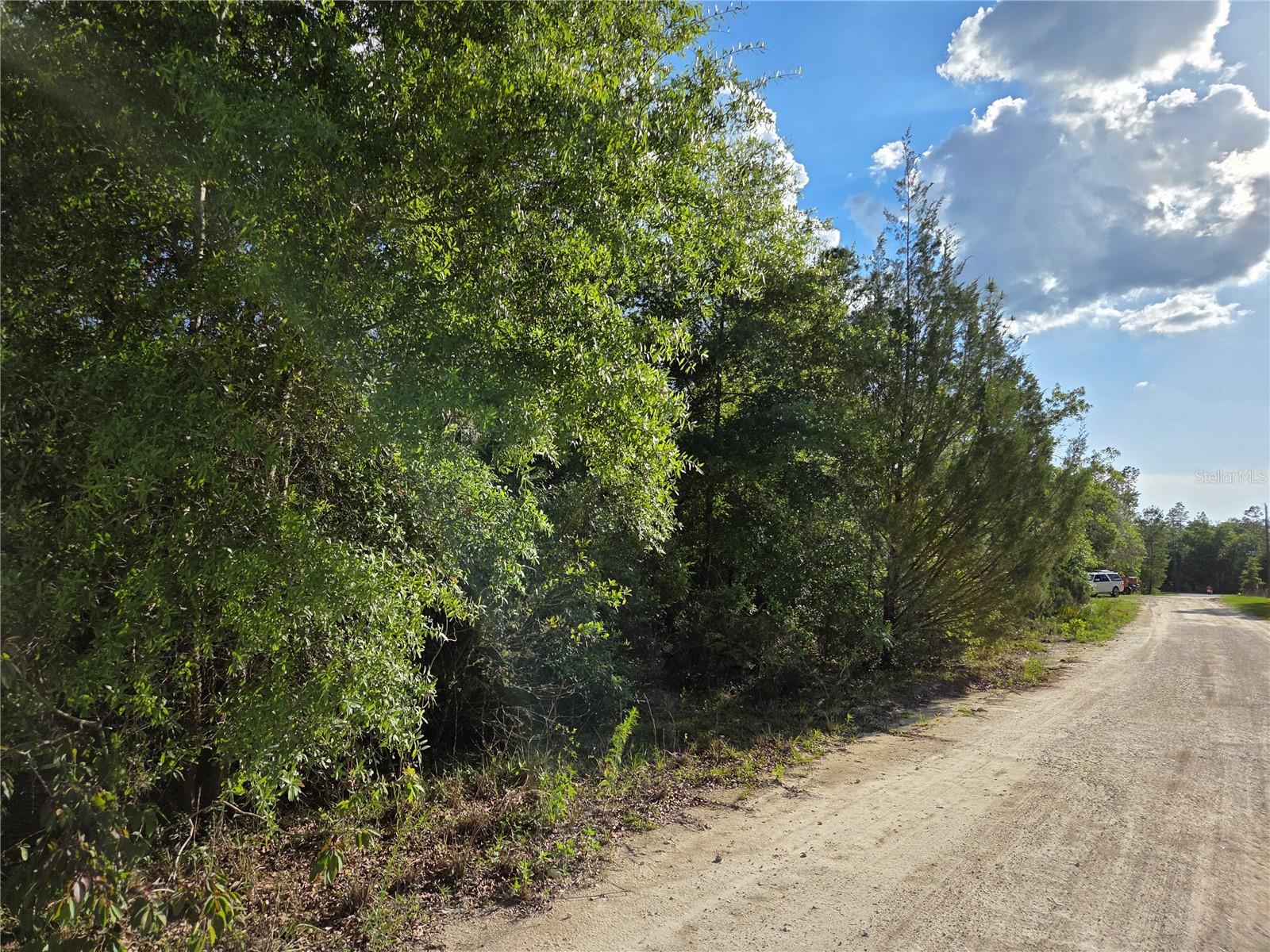 9070 NE 76TH ST, BRONSON, FL, 32621
