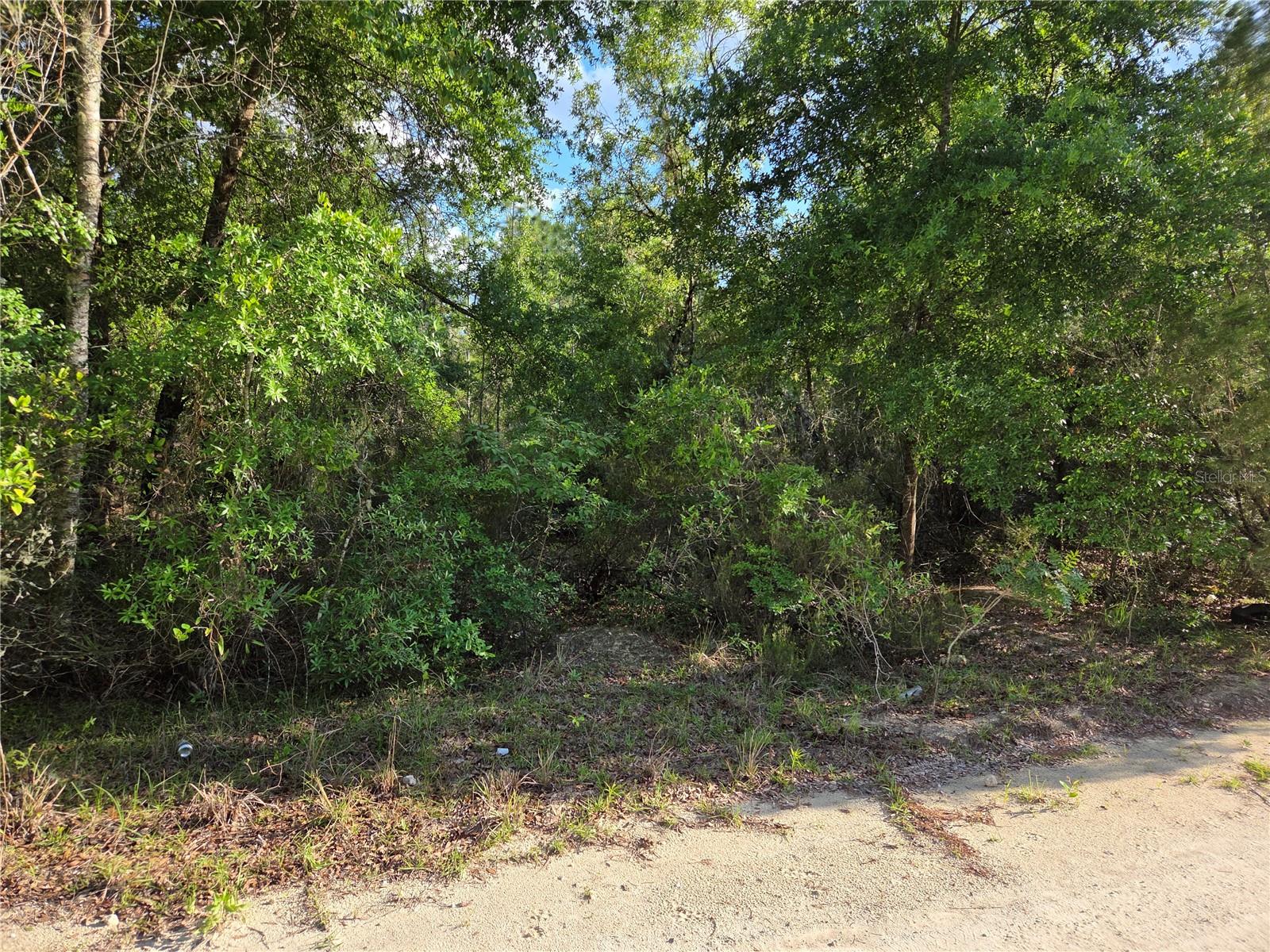 9070 NE 76TH ST, BRONSON, FL, 32621