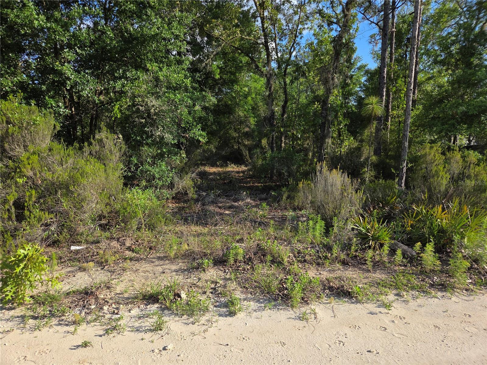 9070 NE 76TH ST, BRONSON, FL, 32621