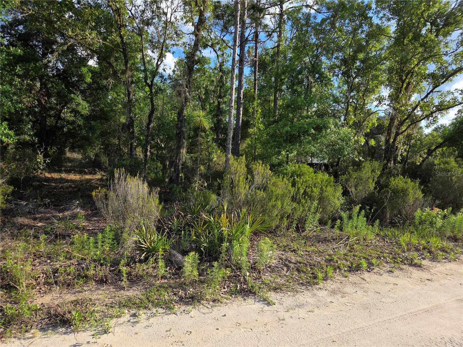 9070 NE 76TH ST, BRONSON, FL, 32621