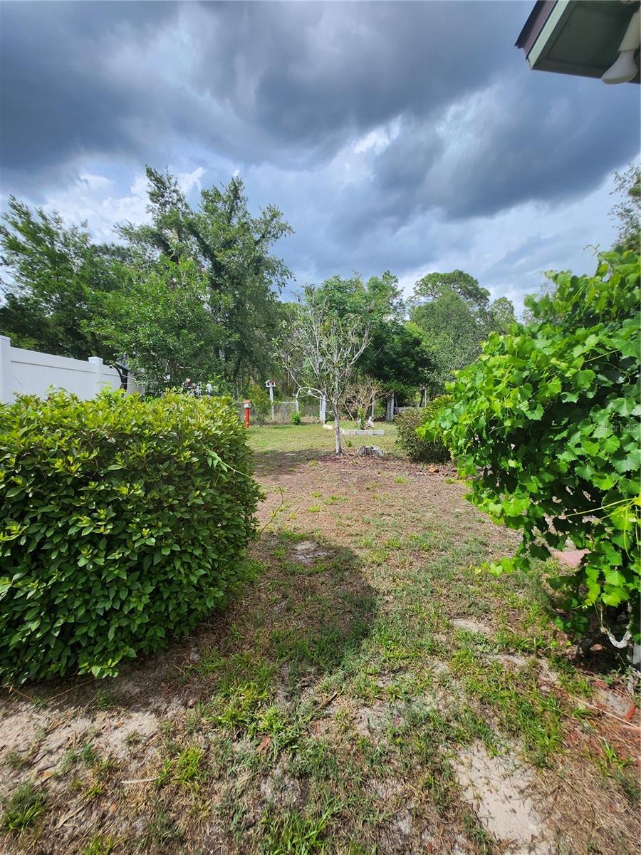 12247 KATHERWOOD ST, SPRING HILL, FL, 34608