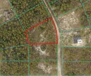 SW TBD SW 127TH AVENUE RD, OCALA, FL, 34481