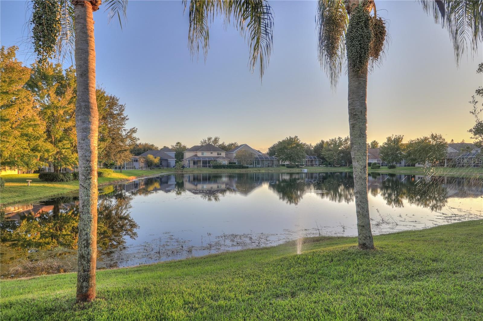 10215 EVERGREEN HILL DR, TAMPA, FL, 33647