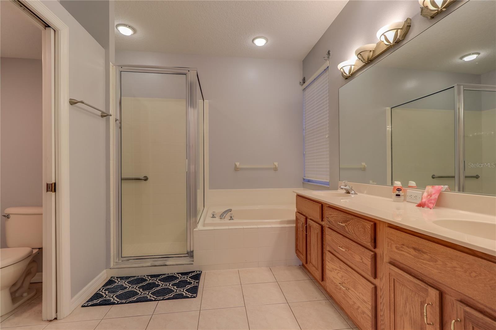 10215 EVERGREEN HILL DR, TAMPA, FL, 33647