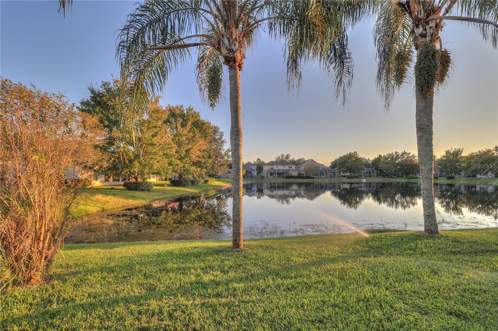 10215 EVERGREEN HILL DR, TAMPA, FL, 33647