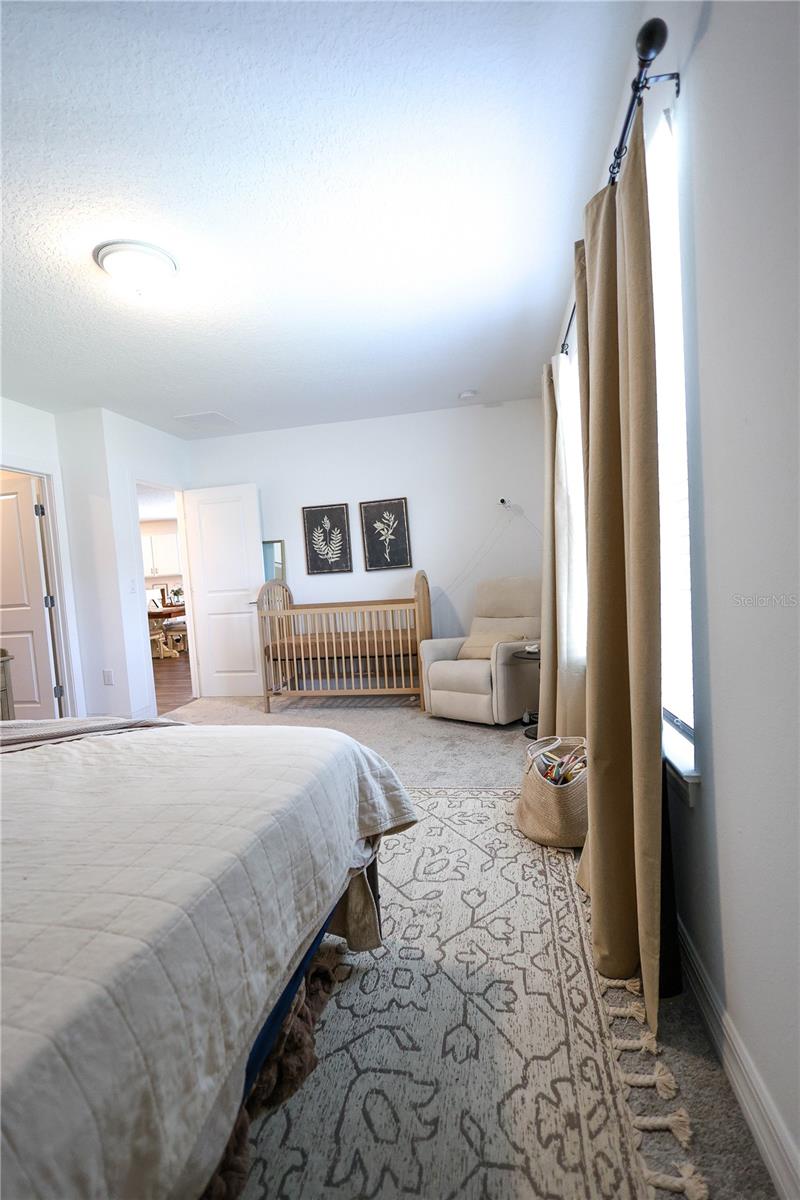 9553 SUMMERS CAY CIR, THONOTOSASSA, FL, 33592