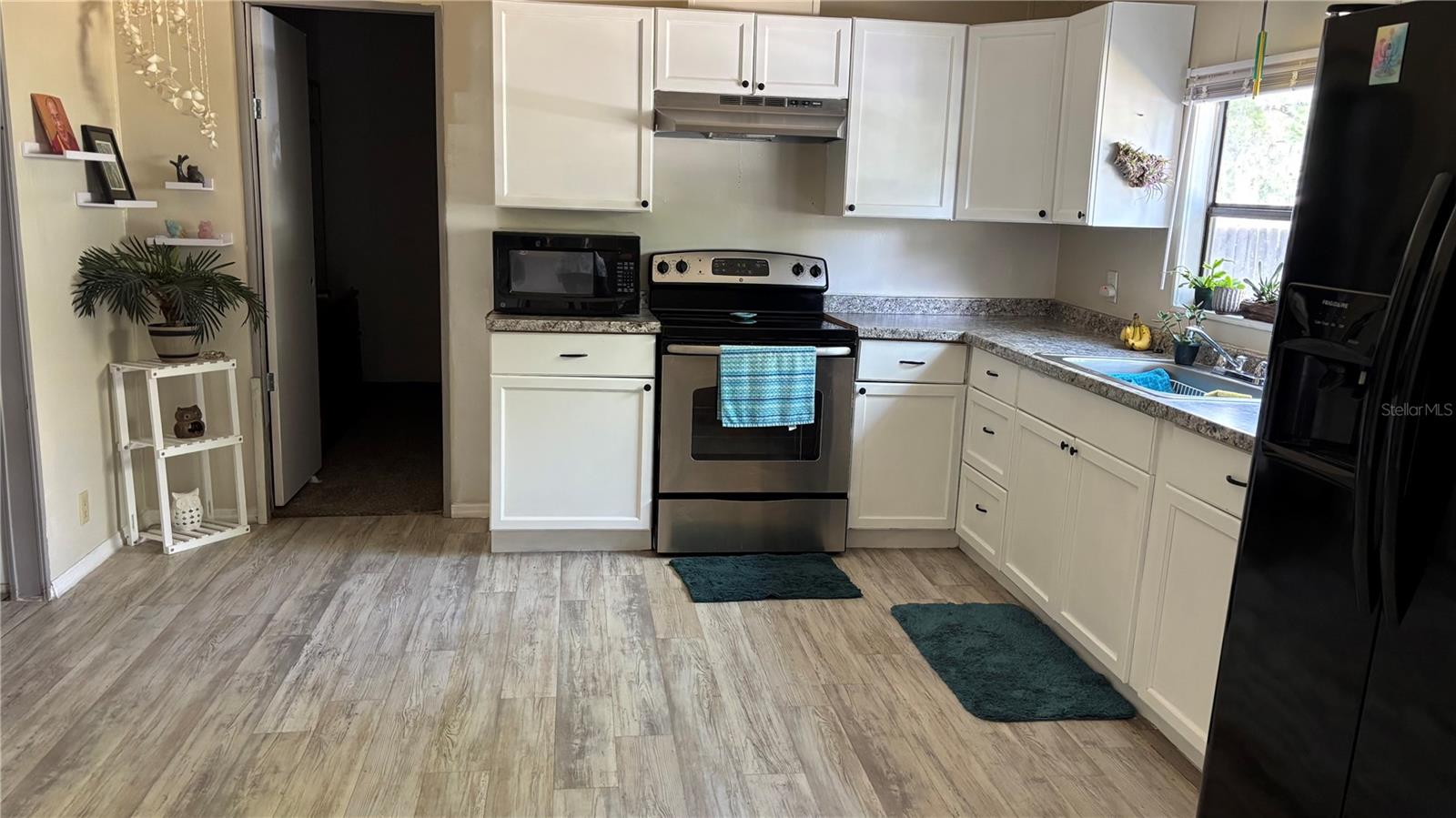 14902 NE 142ND ST, WALDO, FL, 32694