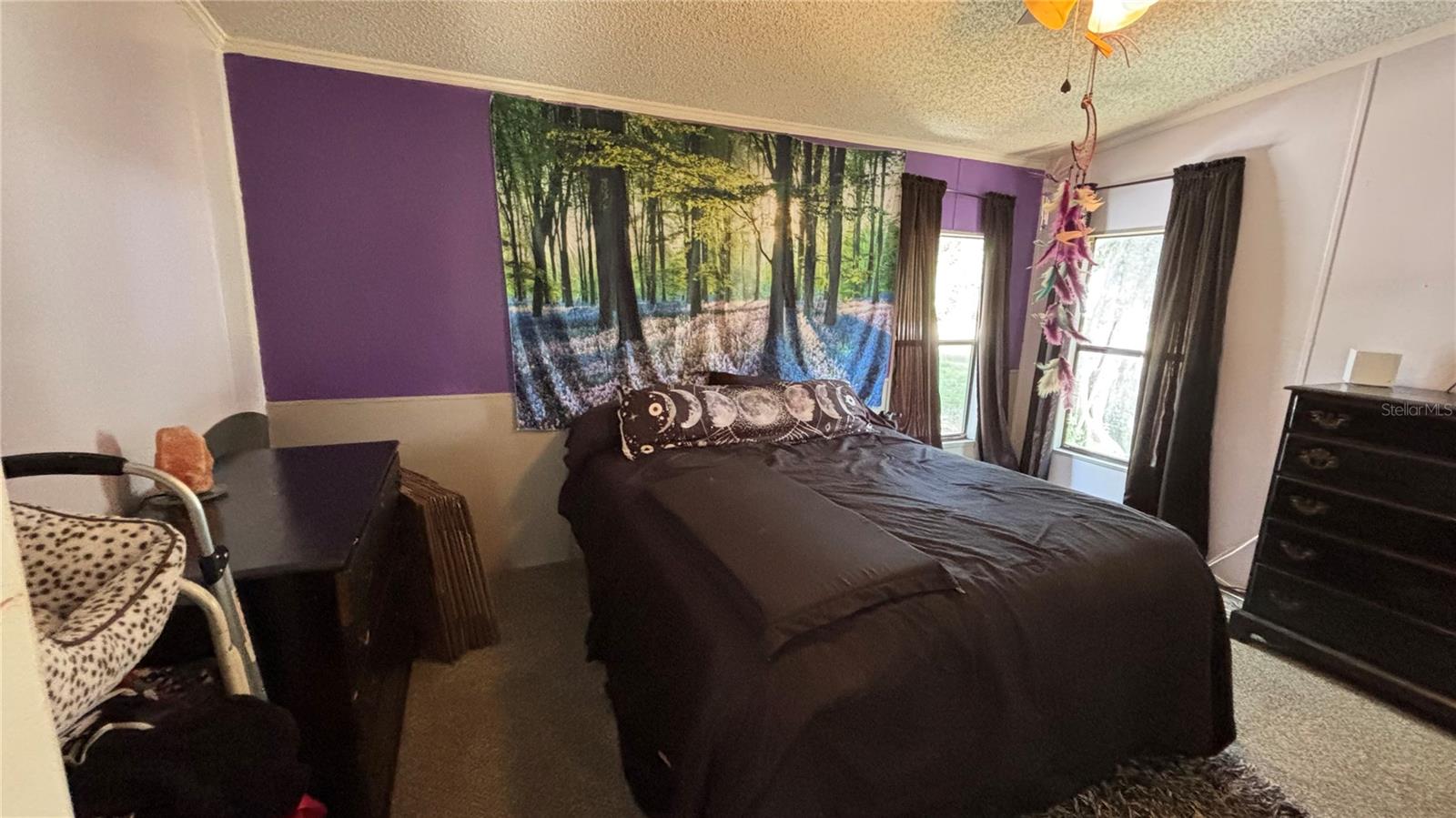 14902 NE 142ND ST, WALDO, FL, 32694