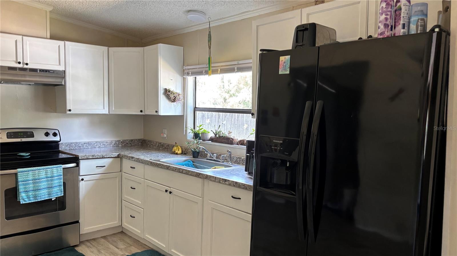 14902 NE 142ND ST, WALDO, FL, 32694