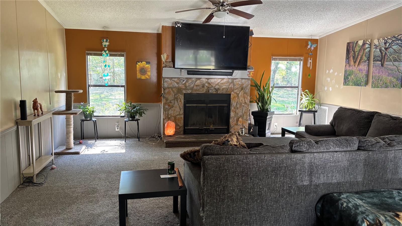 14902 NE 142ND ST, WALDO, FL, 32694