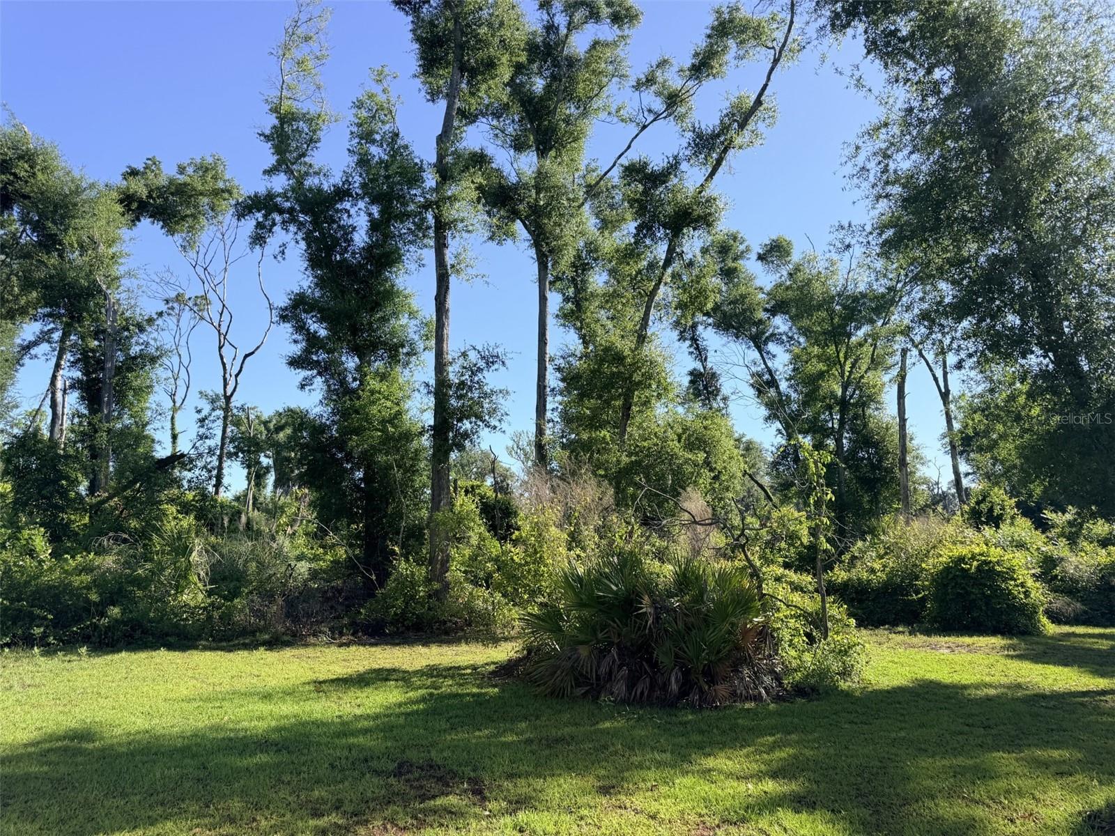 794 NE 521 ST, OLD TOWN, FL, 32680