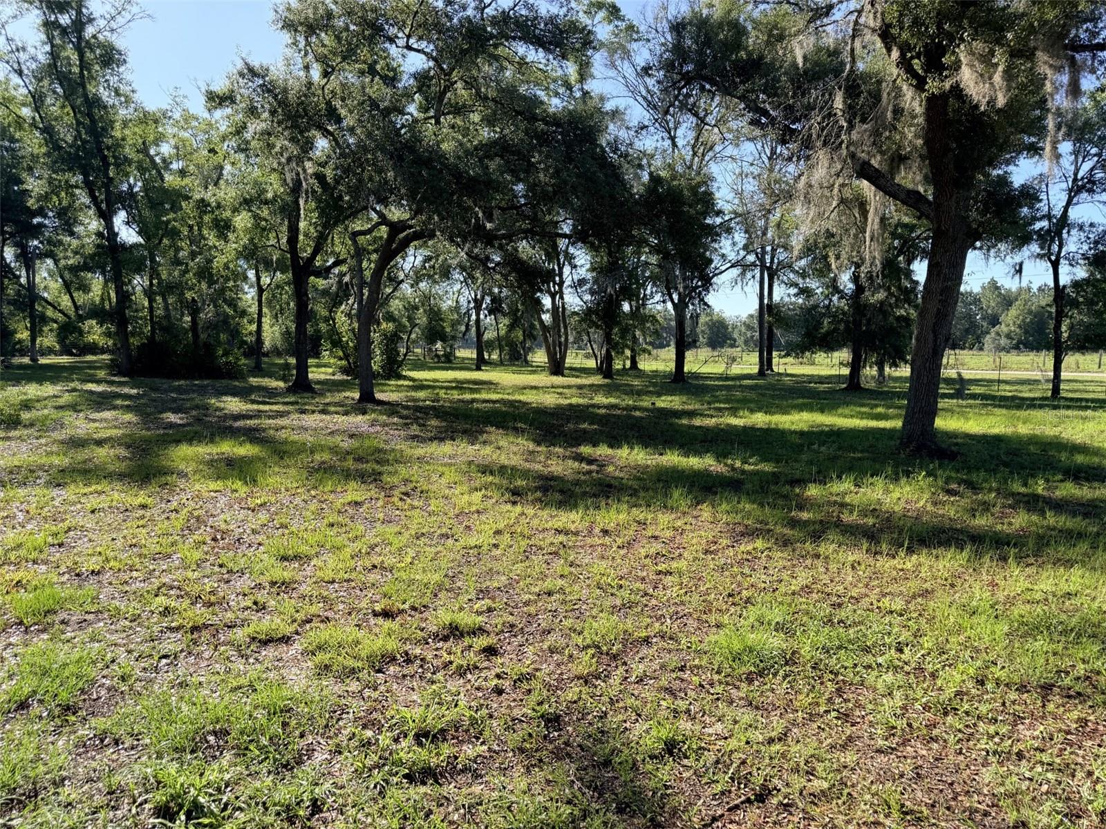 794 NE 521 ST, OLD TOWN, FL, 32680