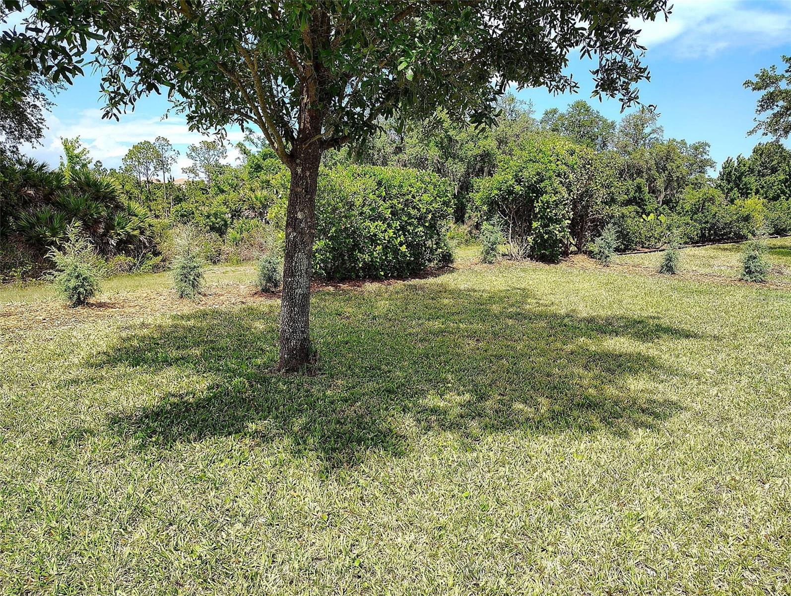 1047 OAK BLUFF DR, DAVENPORT, FL, 33837