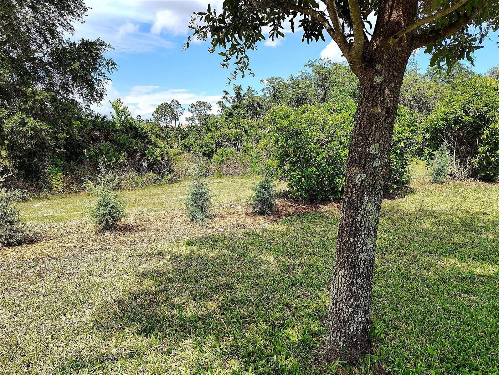 1047 OAK BLUFF DR, DAVENPORT, FL, 33837