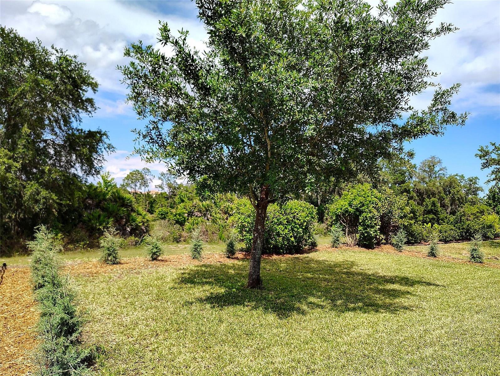 1047 OAK BLUFF DR, DAVENPORT, FL, 33837