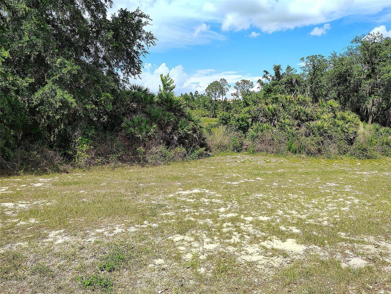 1047 OAK BLUFF DR, DAVENPORT, FL, 33837