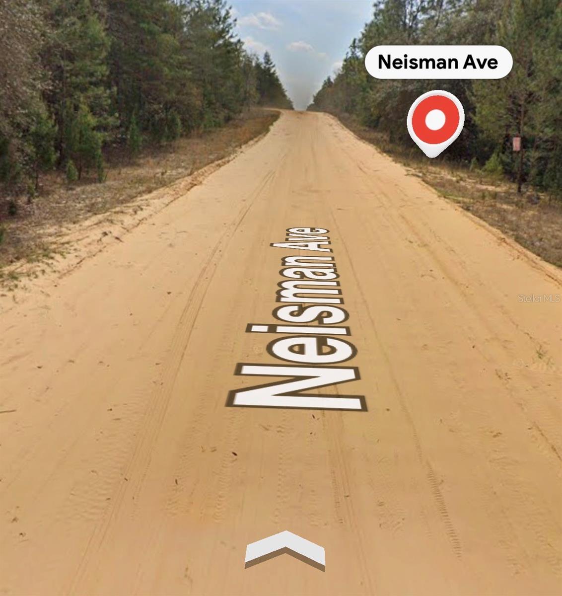 NEISMAN, INTERLACHEN, FL, 32148