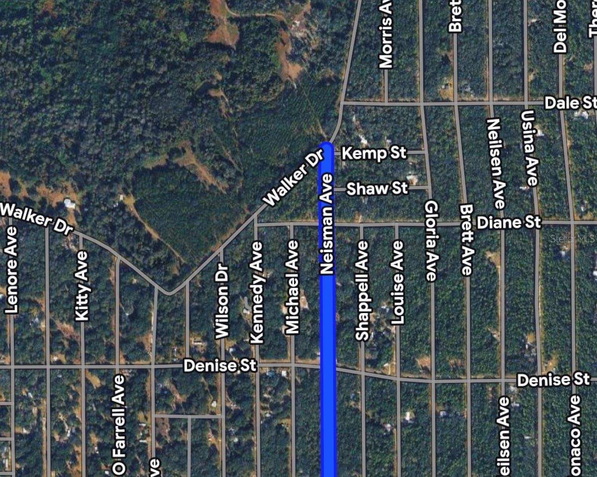 NEISMAN, INTERLACHEN, FL, 32148