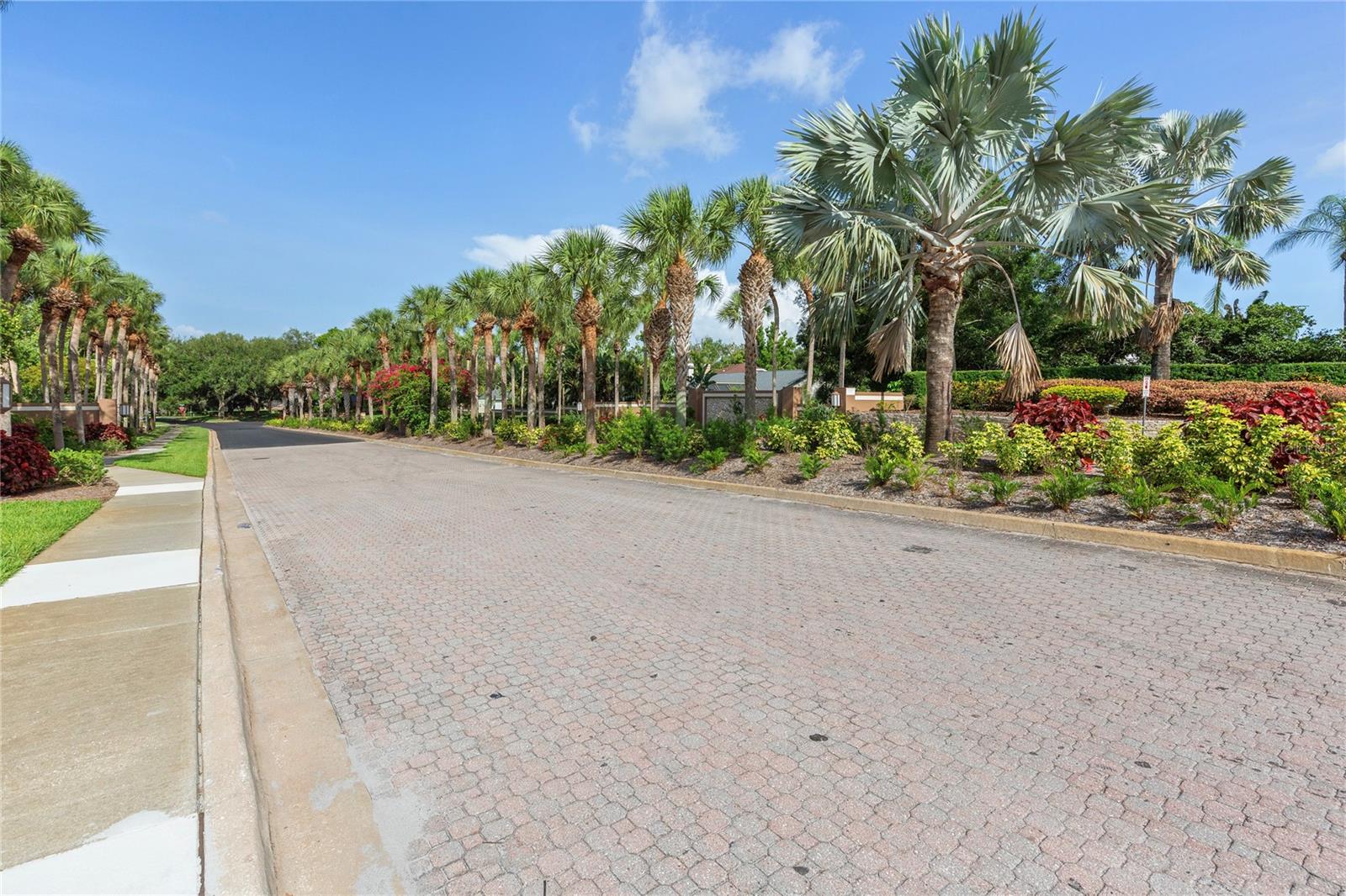 2653 LANDING WAY, PALM HARBOR, FL, 34684