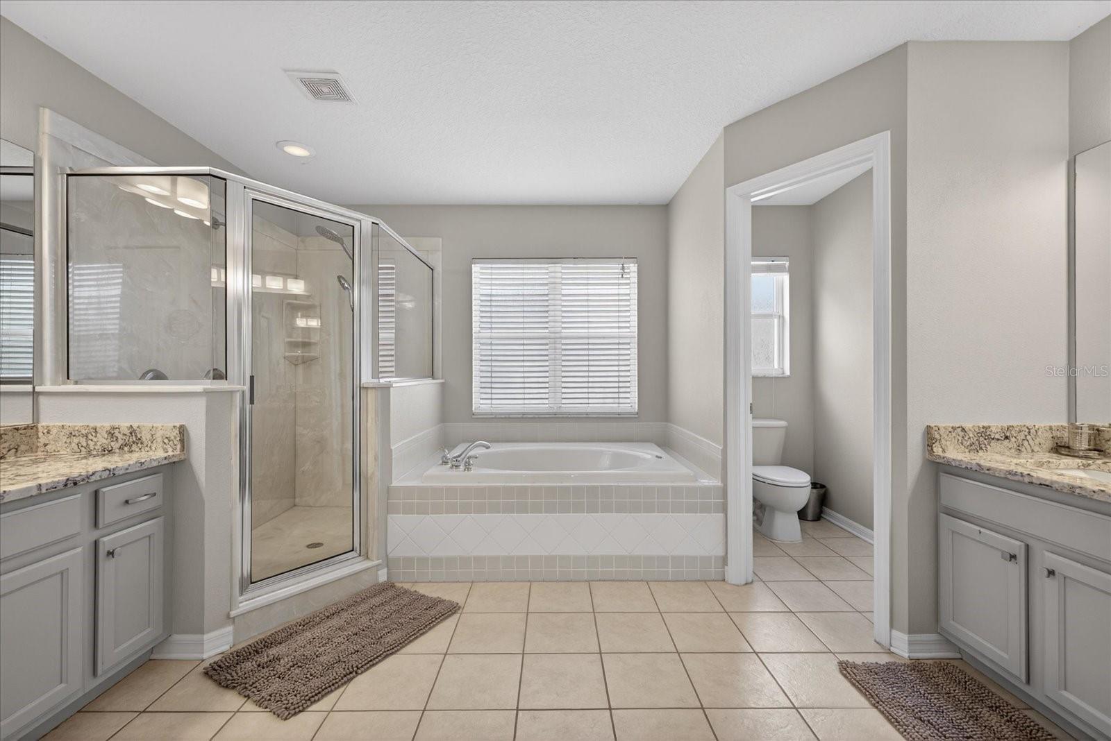 11115 AVERY OAKS DR, TAMPA, FL, 33625