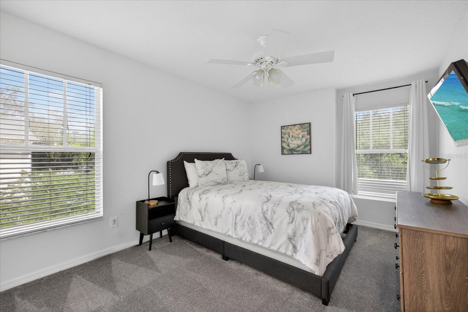 11115 AVERY OAKS DR, TAMPA, FL, 33625