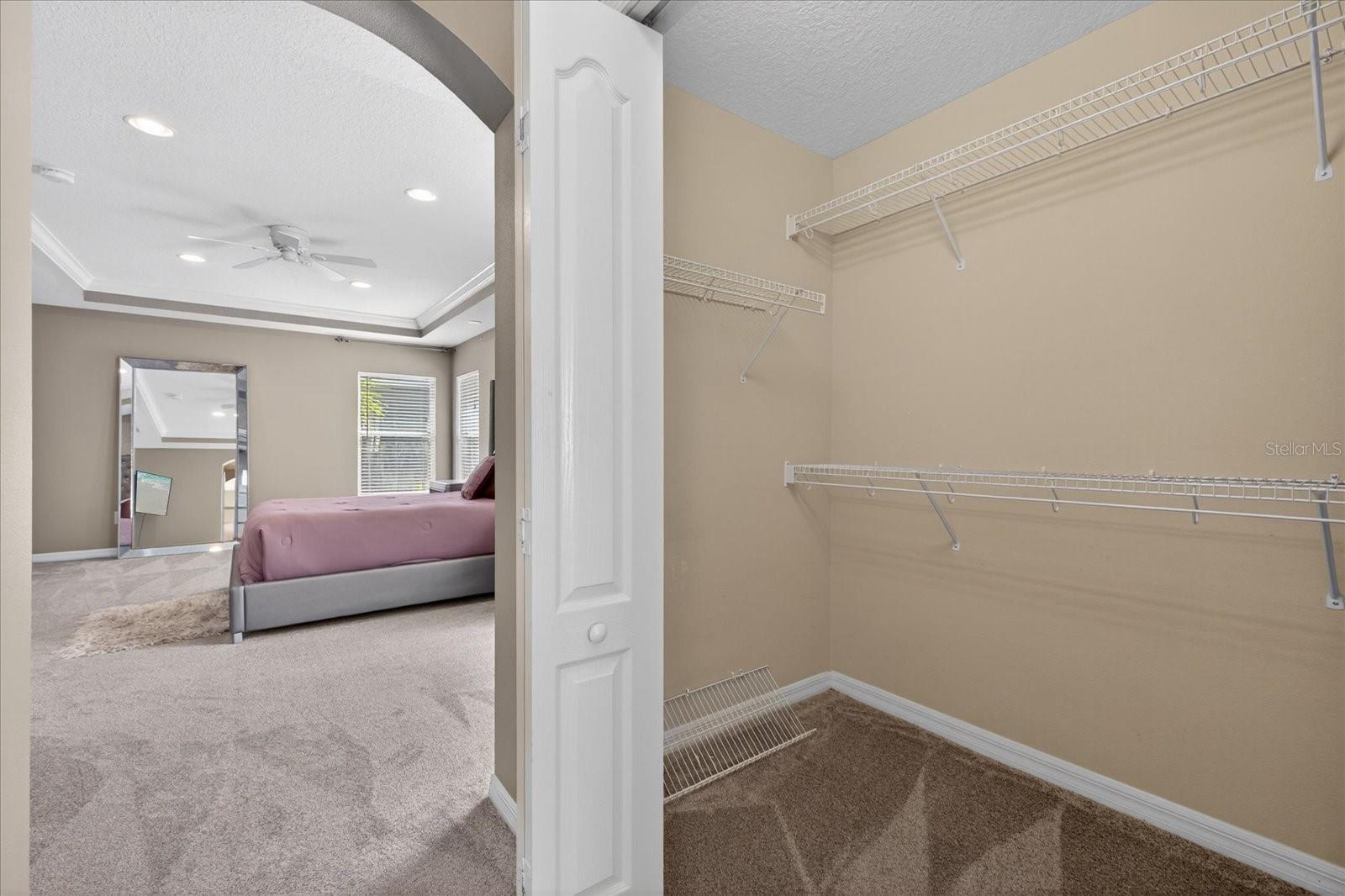 11115 AVERY OAKS DR, TAMPA, FL, 33625