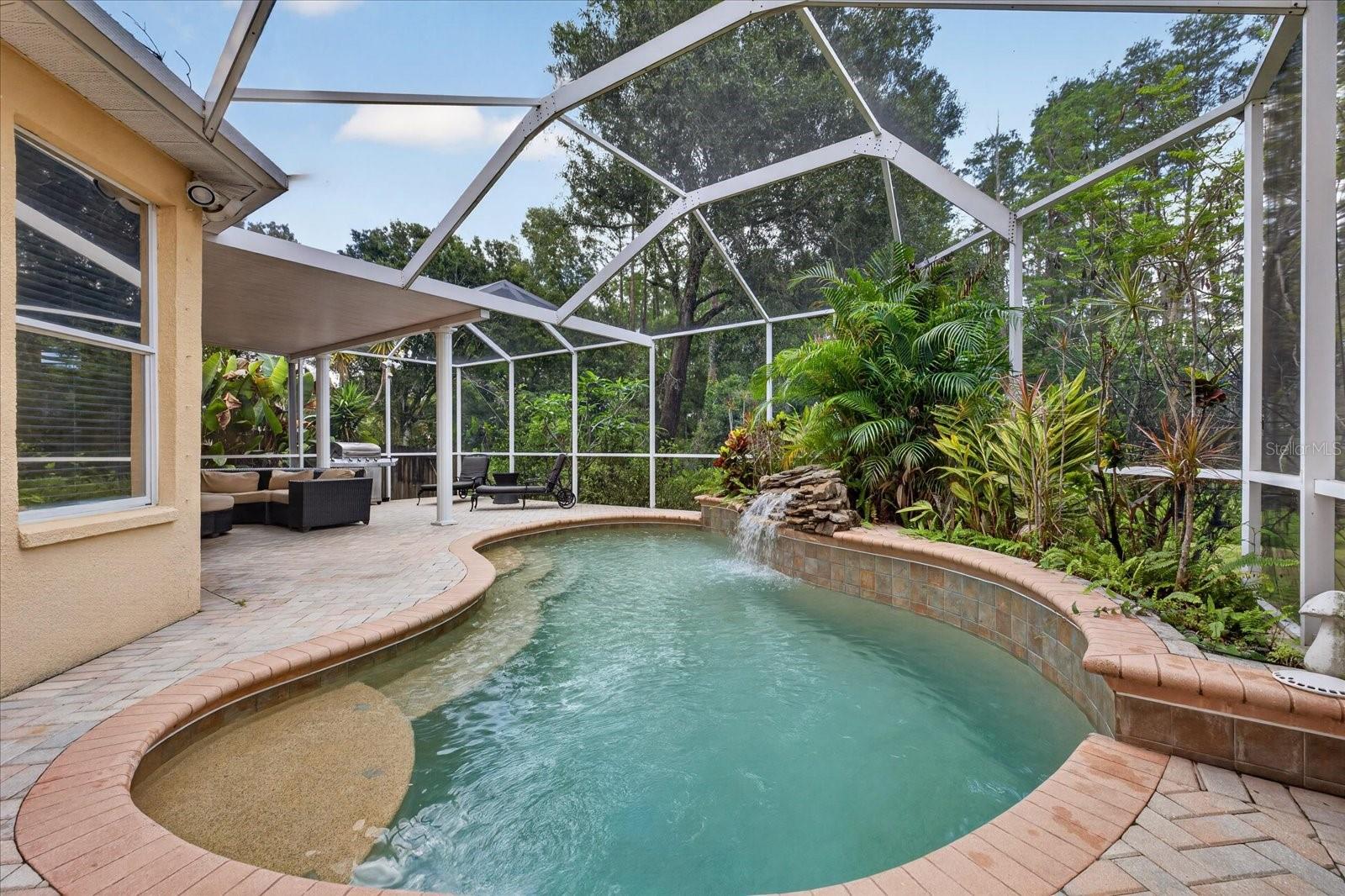 11115 AVERY OAKS DR, TAMPA, FL, 33625
