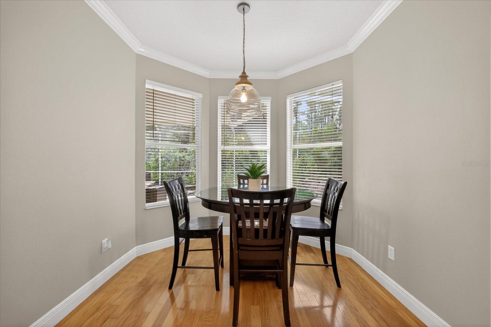 11115 AVERY OAKS DR, TAMPA, FL, 33625