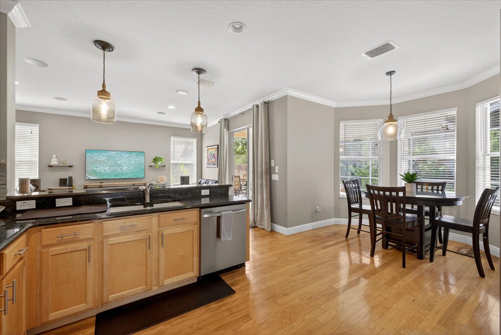 11115 AVERY OAKS DR, TAMPA, FL, 33625