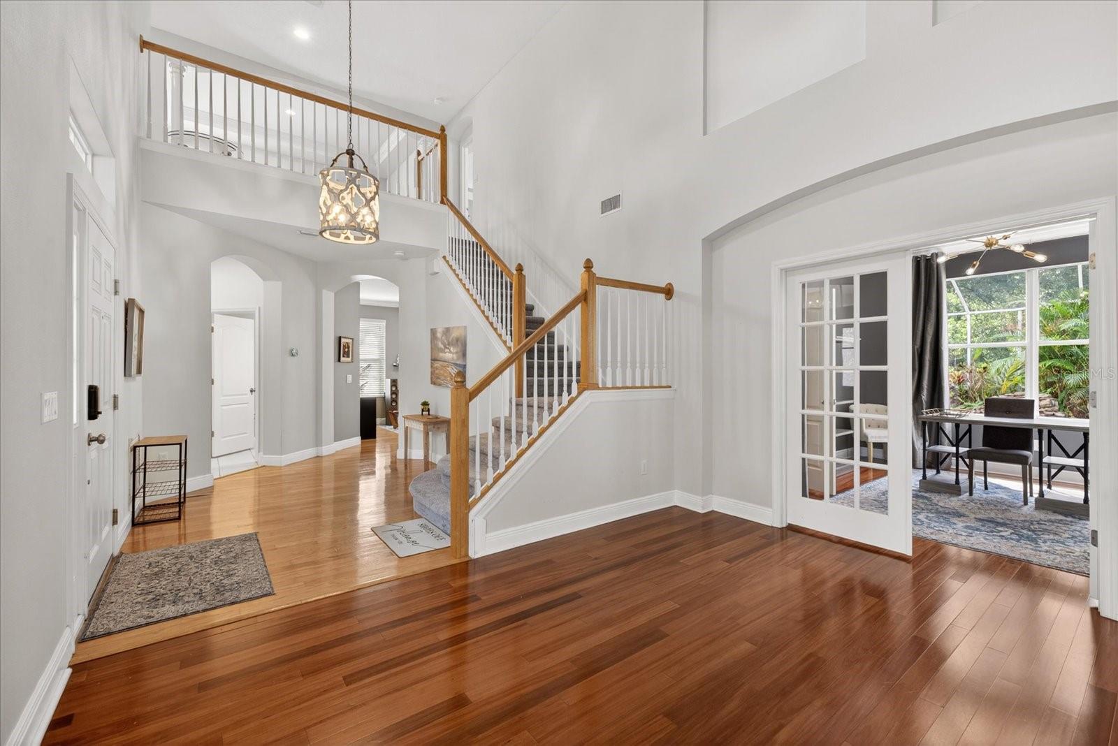 11115 AVERY OAKS DR, TAMPA, FL, 33625
