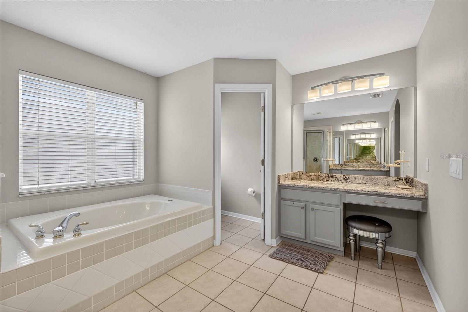 11115 AVERY OAKS DR, TAMPA, FL, 33625