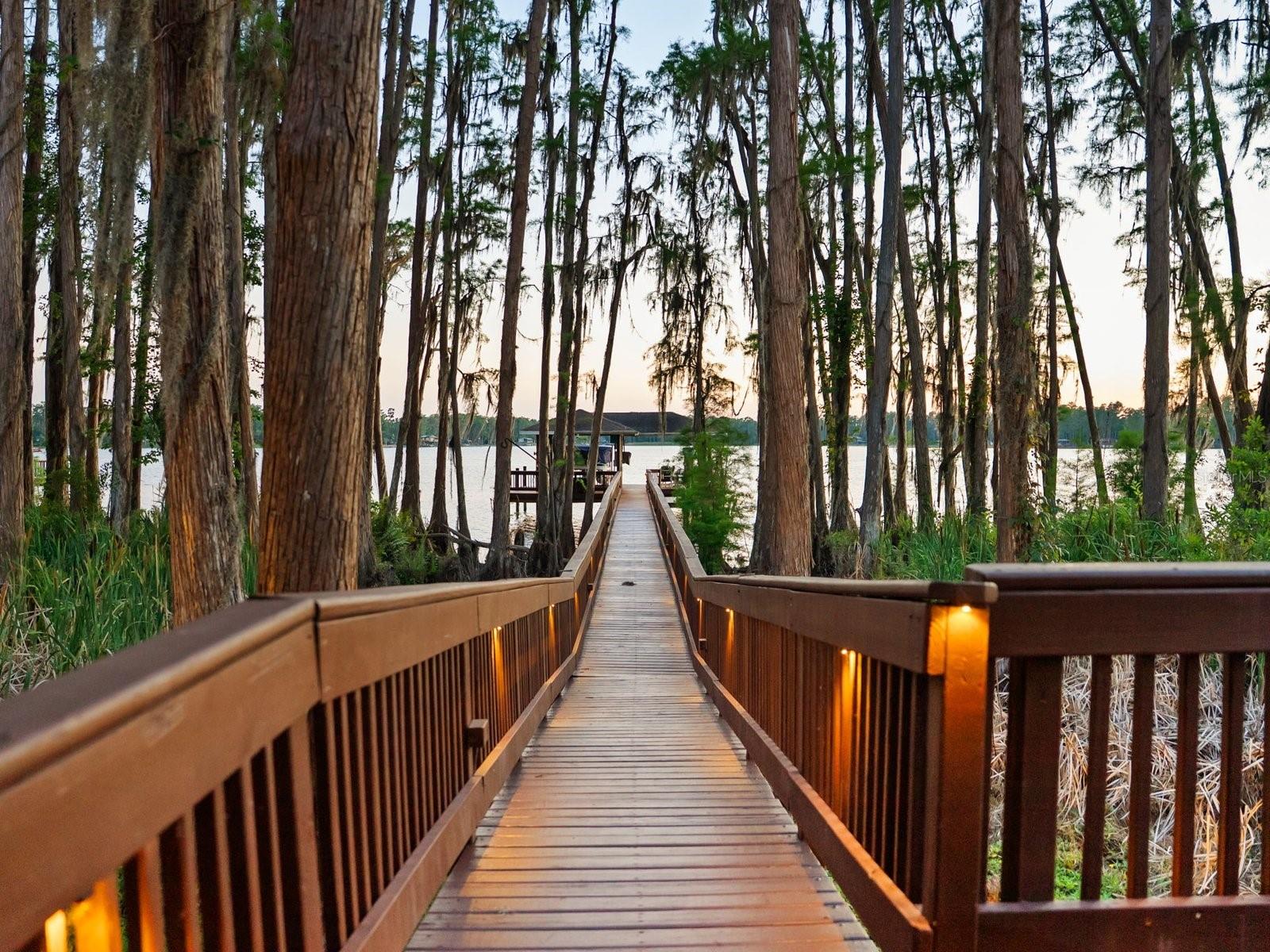 21019 MARSH HAWK DR, LAND O LAKES, FL, 34638