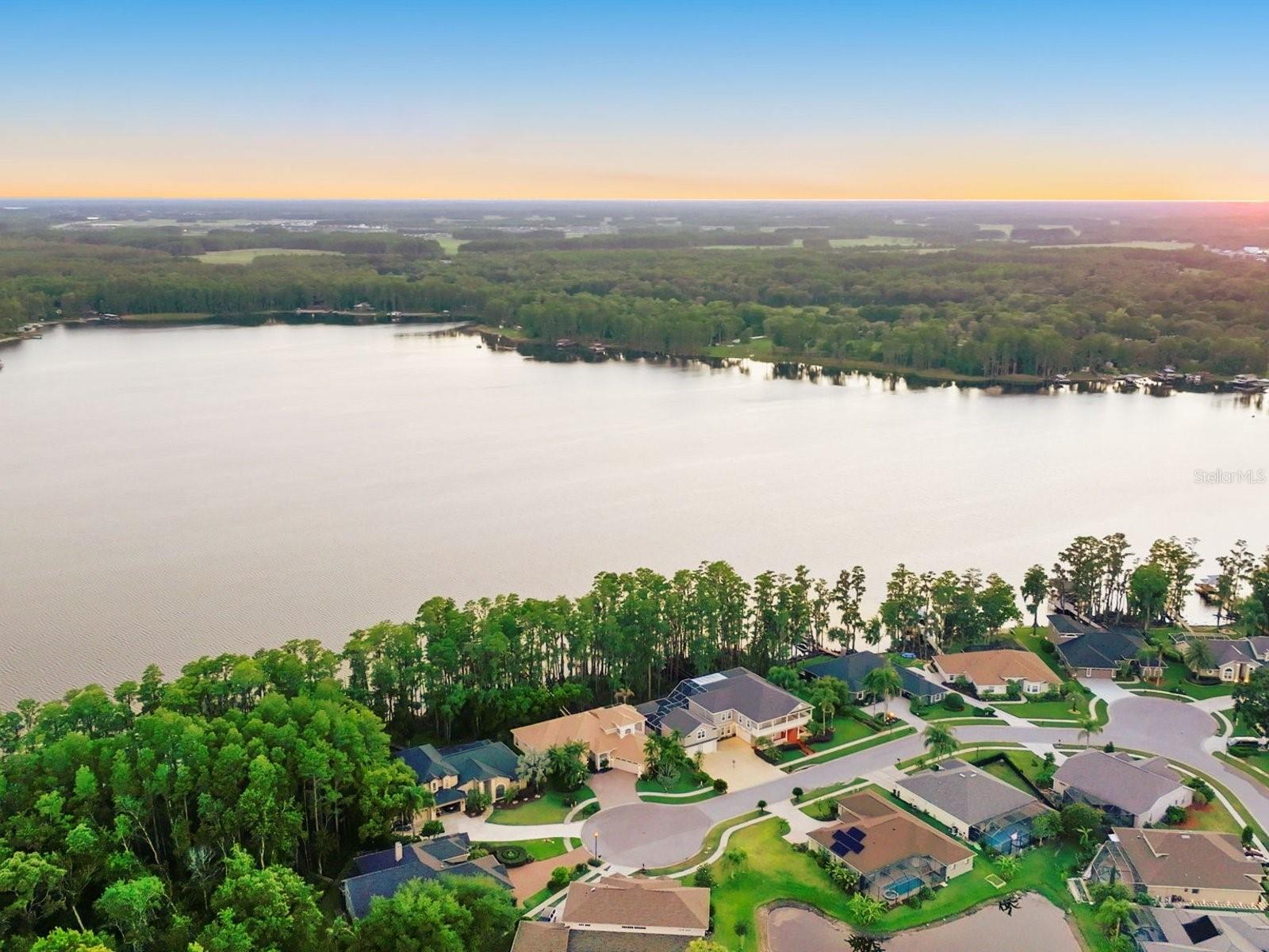 21019 MARSH HAWK DR, LAND O LAKES, FL, 34638